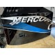 OUTBOARD COWLING AND PANELS  PAINTING OPTIMAX