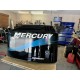 OUTBOARD COWLING AND PANELS  PAINTING OPTIMAX